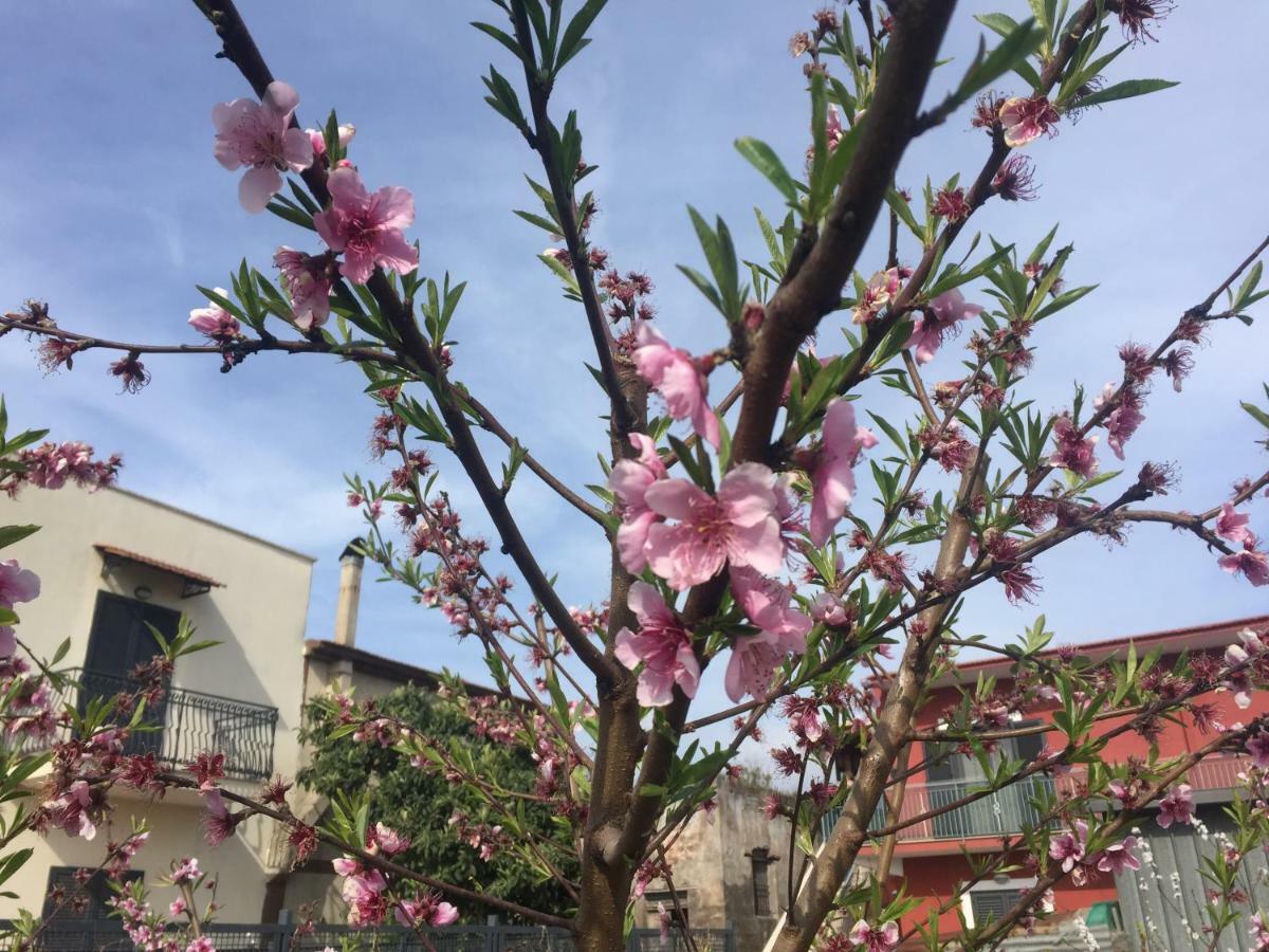 Il Giardino Di Nonno Agostino Bed & Breakfast Castellammare di Stabia Dış mekan fotoğraf