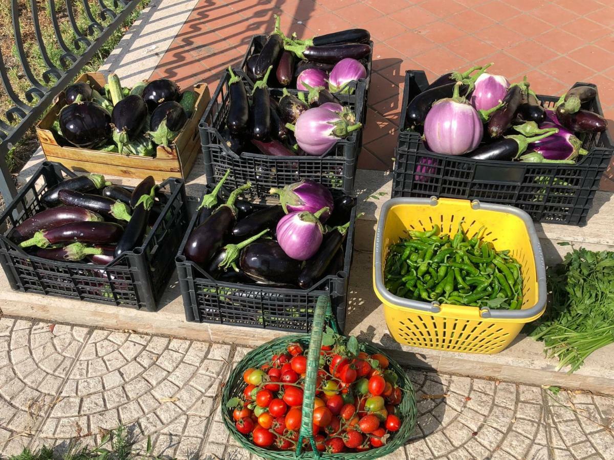 Il Giardino Di Nonno Agostino Bed & Breakfast Castellammare di Stabia Dış mekan fotoğraf