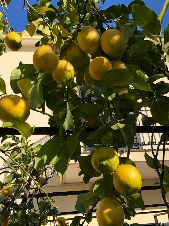 Il Giardino Di Nonno Agostino Bed & Breakfast Castellammare di Stabia Dış mekan fotoğraf