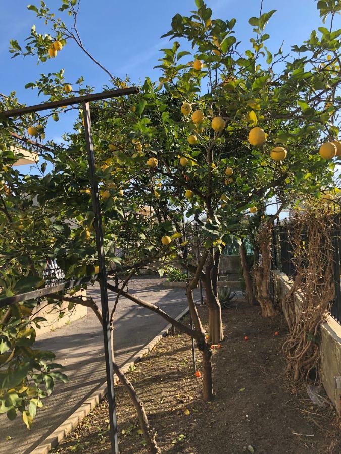 Il Giardino Di Nonno Agostino Bed & Breakfast Castellammare di Stabia Dış mekan fotoğraf