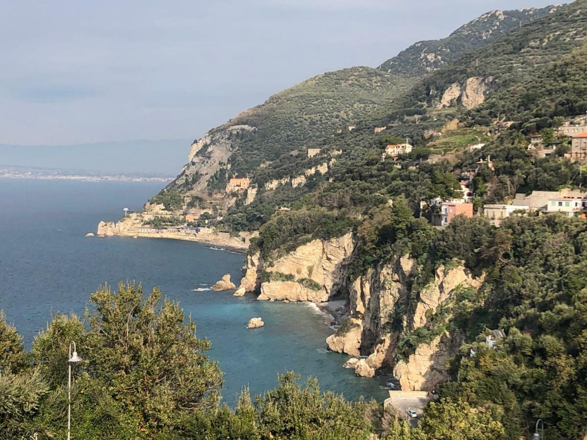 Il Giardino Di Nonno Agostino Bed & Breakfast Castellammare di Stabia Dış mekan fotoğraf